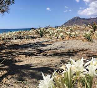 Wandern Riverwalk Plakias
