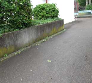 Katholische Kirche St. Albert