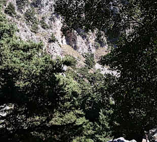 Wanderung durch die Imbros Schlucht