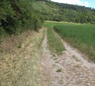 Wanderweg Ammerbucher Gigeleswegle