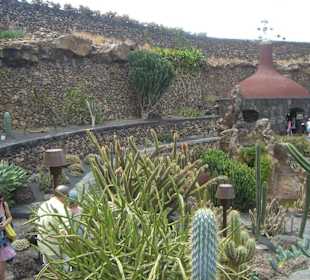 Blick auf den Garten