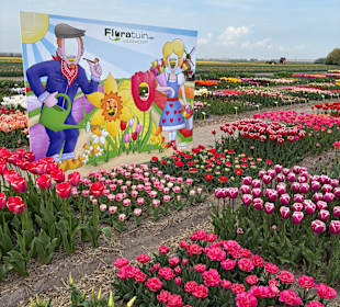 Floratuin Julianadorp