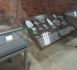 Staatliches Naturkunde Museum