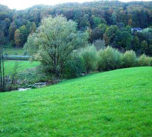 Wiesen und Wälder