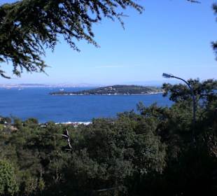 Paorama Blick