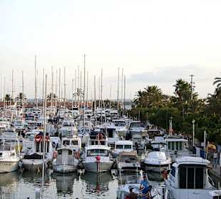 Yachthafen Puerto de Alcudia