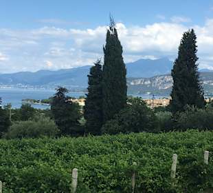 Blick auf den Gardasee, oberhalb Bardolino 