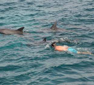 Auf Tour im Roten Meer