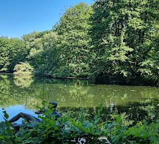Große Weiher im Zoo