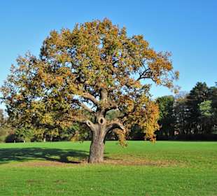 Rundgang durch den Jenischpark