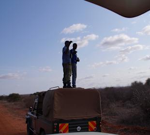 Die Ranger beobachten ein verletztes Tier
