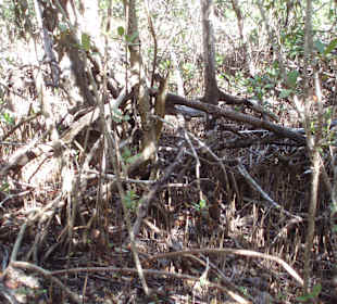 Unterwegs auf den Wanderwegen