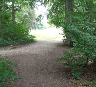 Hochgeträumt Premiumwanderung