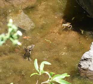 Levada da Bica da Cana am Südrand der Hochebene