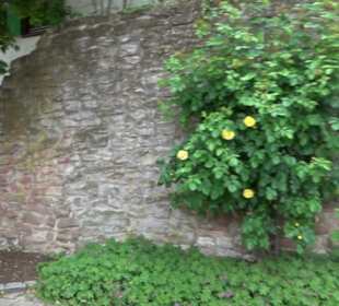 Stadtmauer