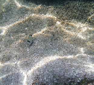 Unterwasser 4
