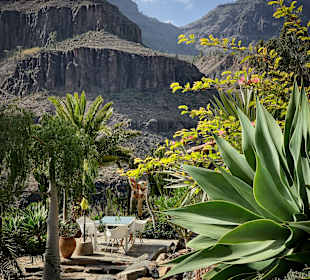 Inselrundfahrt Gran Canaria