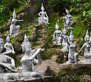 Magic Garden/Secret Buddha Garden