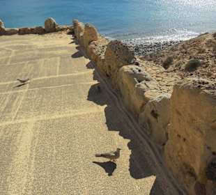 Strandwandern Costa Calma