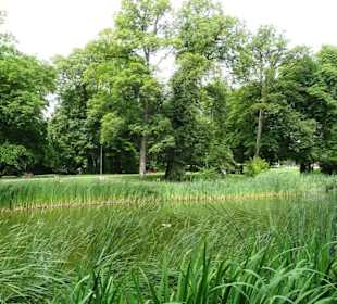 Rundgang durch den Edmund Klein Park