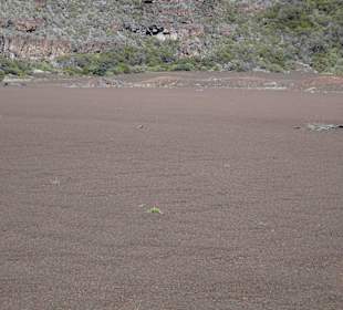 Impressionen aus der Plaine des Sables