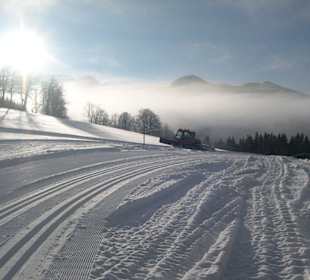 Präparierung der Loipe