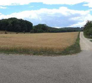 Wildgehege Holzelfingen