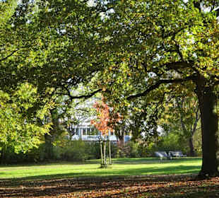 Spaziergang durch den Kurpark Wilhelmshaven