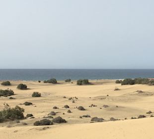 Dünen von Maspalomas