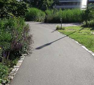 Seegarten-Anlage / Kurfürsten-Anlage