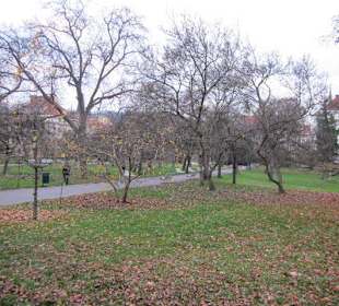 Mala Strana Vojanovy Sady