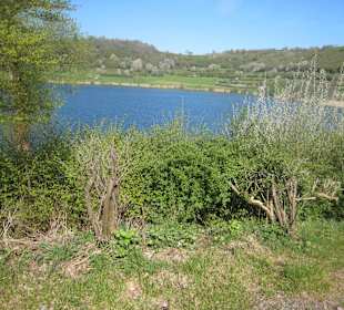 Das Schalkenmehrener Maar