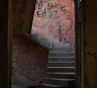 Zakład dla Nerwowo i Psychicznie Chorych Żydów Zofiówka