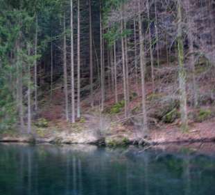 See in Grün wunderschön
