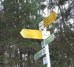 Vitus Mayer Waldlehrpfad