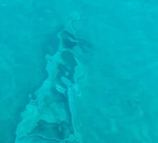 Schnorcheln Sahl Hasheesh