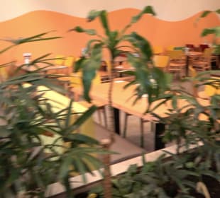 Market Restaurant