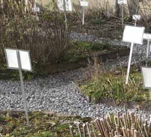 Gewürz- und Kräutergarten