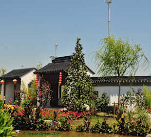 Chinahaus & Gartenanlage