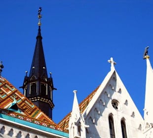 Zinnen, Formen und Farben