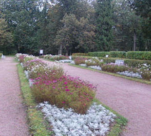 Parkanlage Pawlowsk