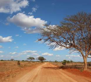 Landschaft in Tsavo Nationalpark 
