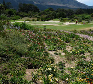 Steenberg Golf Resort