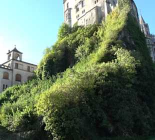 Schloss Sigmaringen