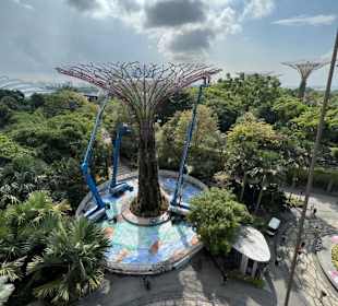 Super Tree - Skywalk