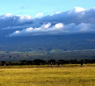 Amboseli Park