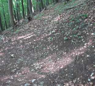 Premiumwanderweg "hochgelegen"