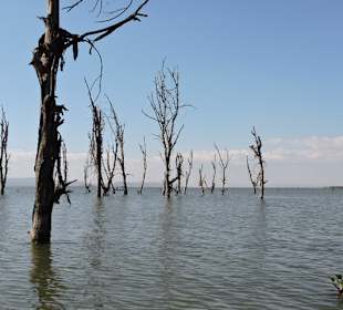 Lake Nakuru Nationalpark