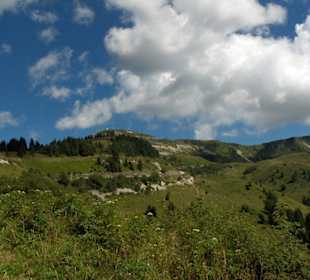 Vista  da Cima Grappa
