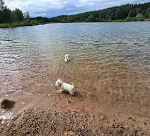 Für Hunde tja Spass pur